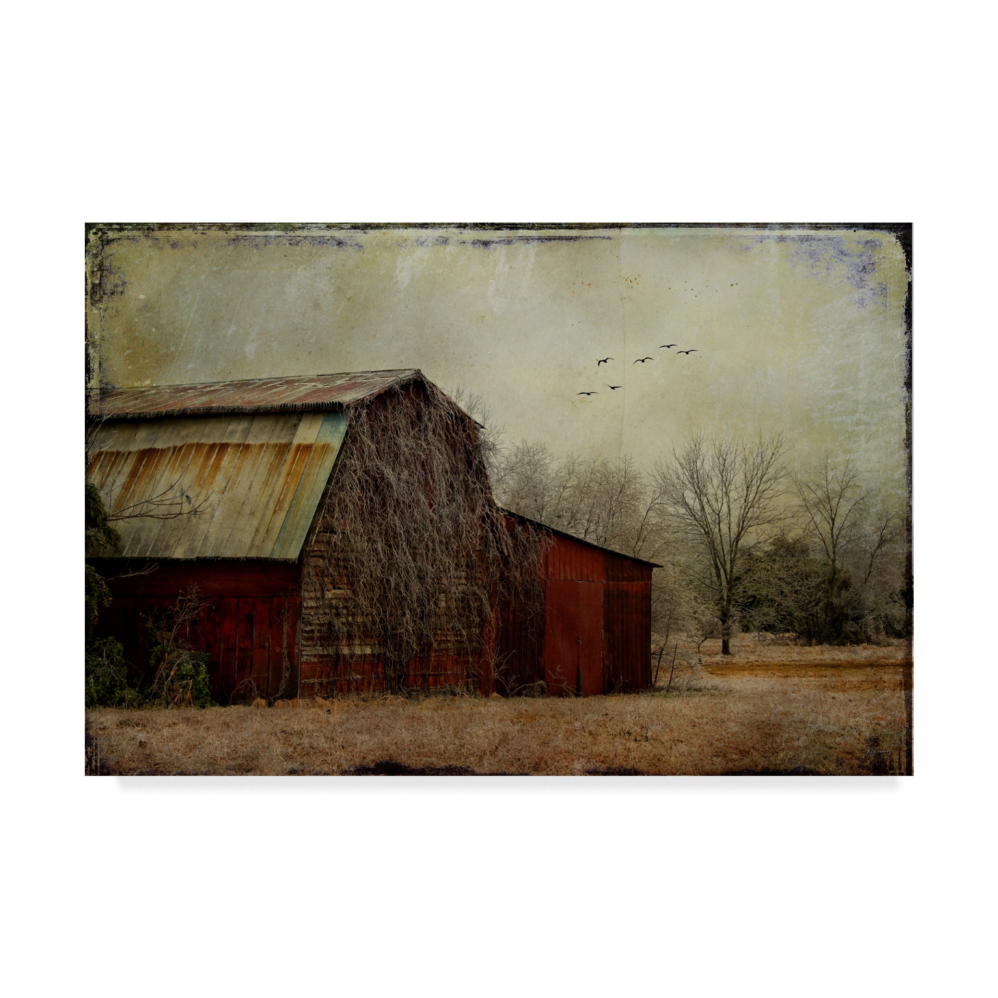Rustic Red Barn Landscape Framed Canvas Art