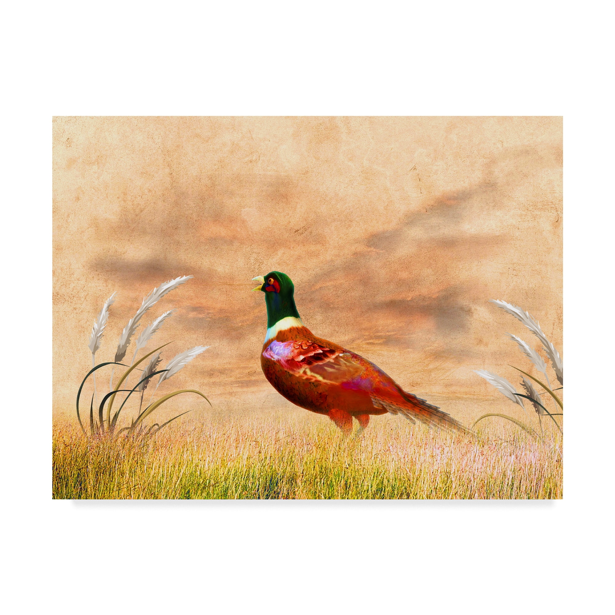 Trademark Fine Art 'The Red Bird Oc' Canvas Art by Ata Alishahi