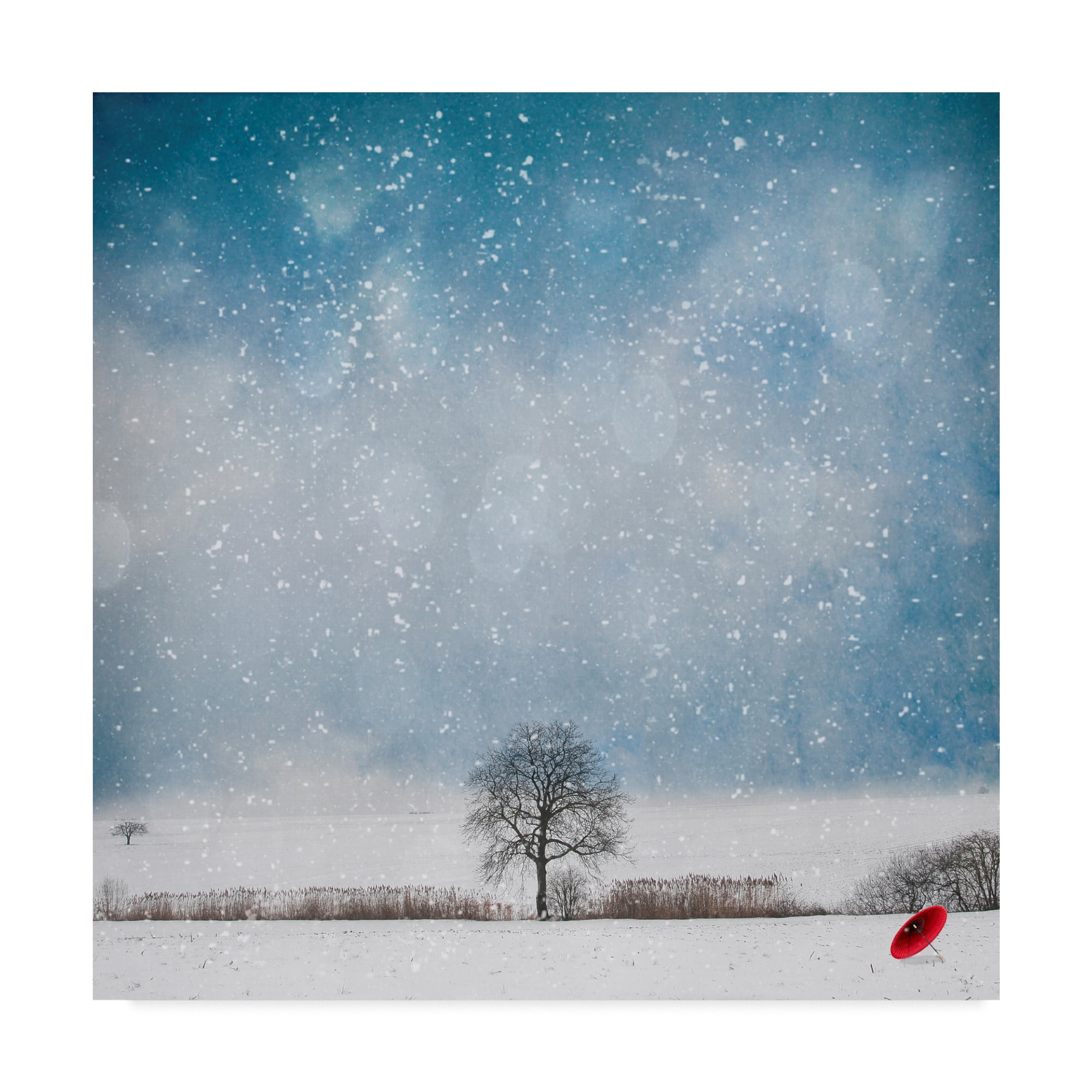 Philippe Sainte-Laudy Blue and White Landscape Canvas Art with Wooden Frame