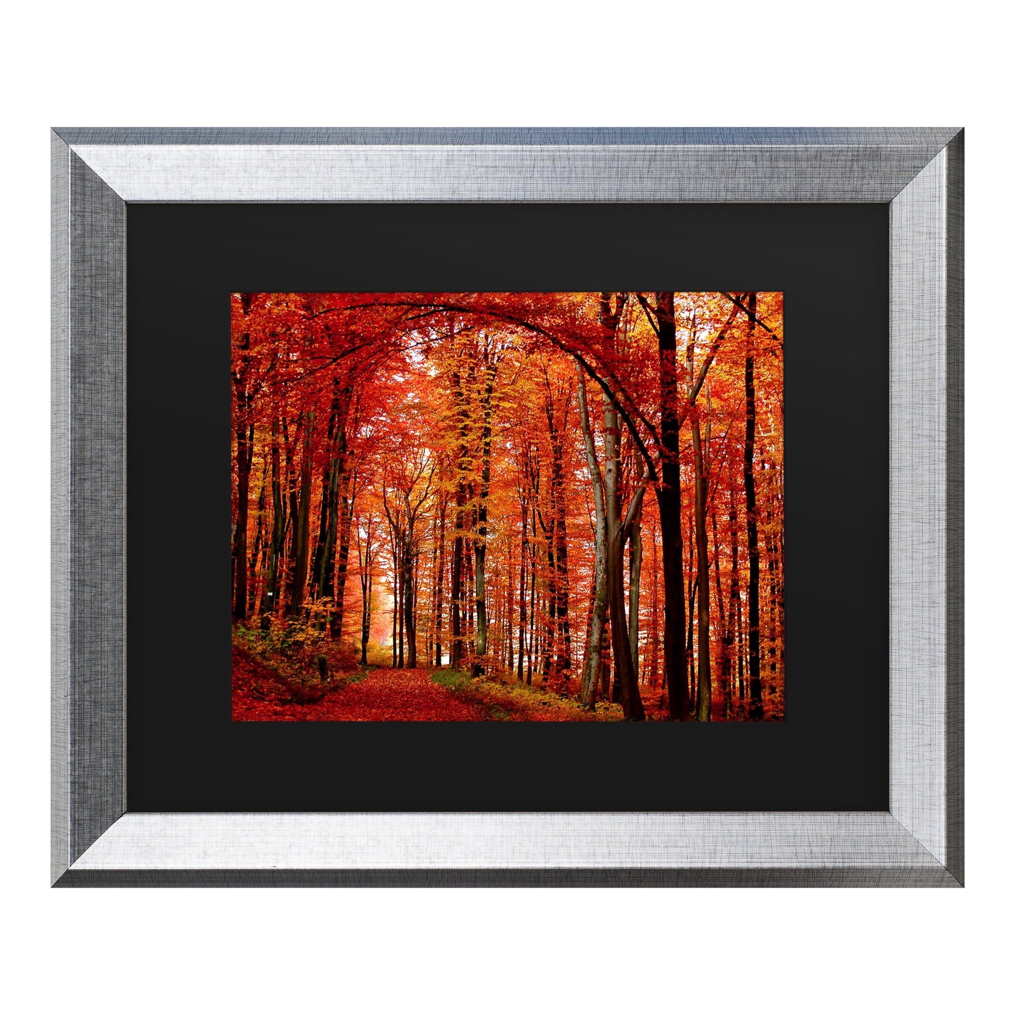 Trademark Fine Art 'The Red Way' Canvas Art by Philippe Sainte-Laudy