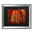 thumbnail image 1 of Trademark Fine Art 'The Red Way' Canvas Art by Philippe Sainte-Laudy, 1 of 4