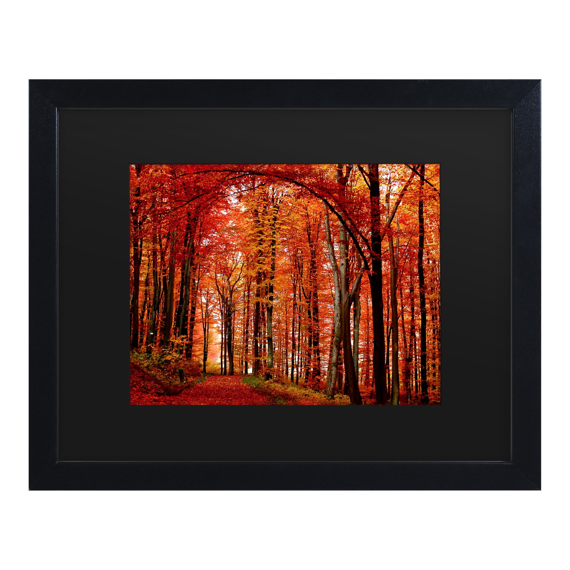 Trademark Fine Art 'The Red Way' Canvas Art by Philippe Sainte-Laudy