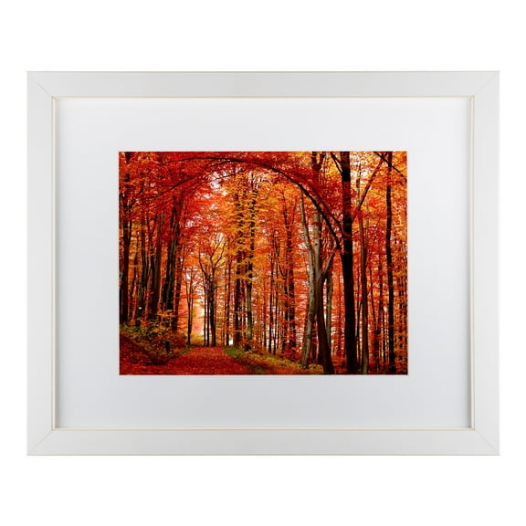 Trademark Fine Art 'The Red Way' Matted Framed Art by Philippe Sainte-Laudy