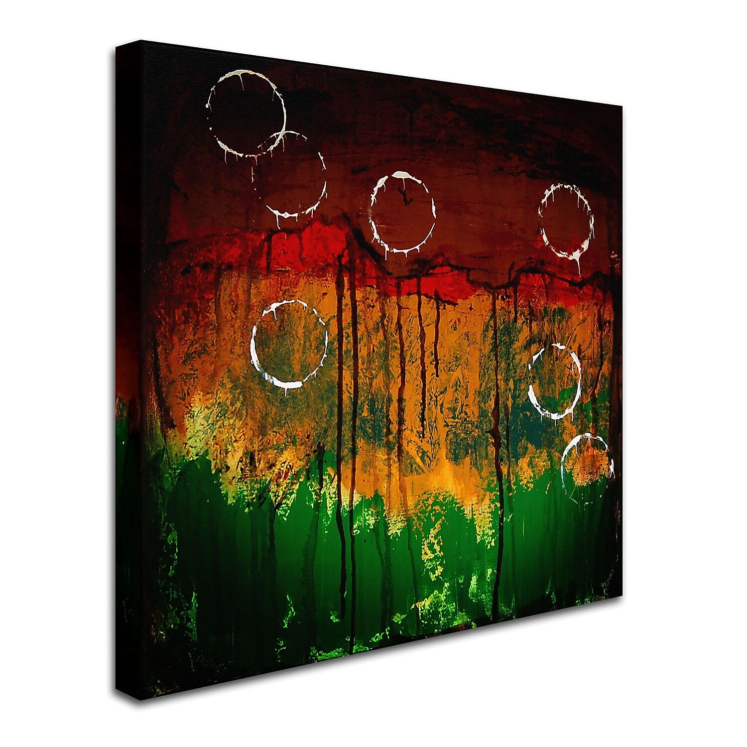 Trademark Fine Art "The Ridges" Canvas Art by Nicole Dietz