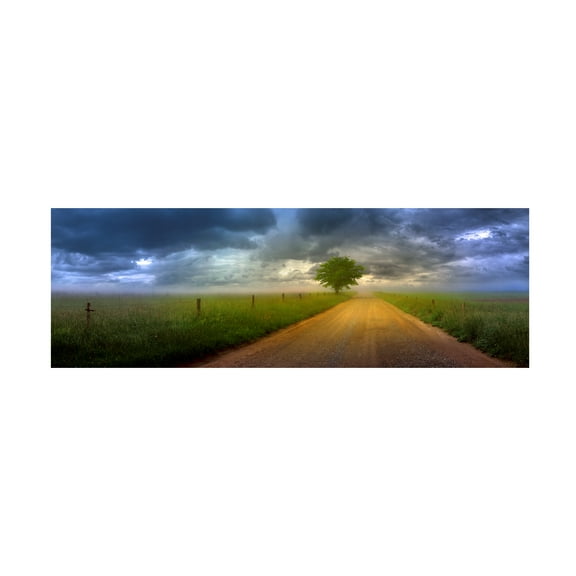 Trademark Fine Art 'The Road Home' Canvas Art by Doug Cavanah