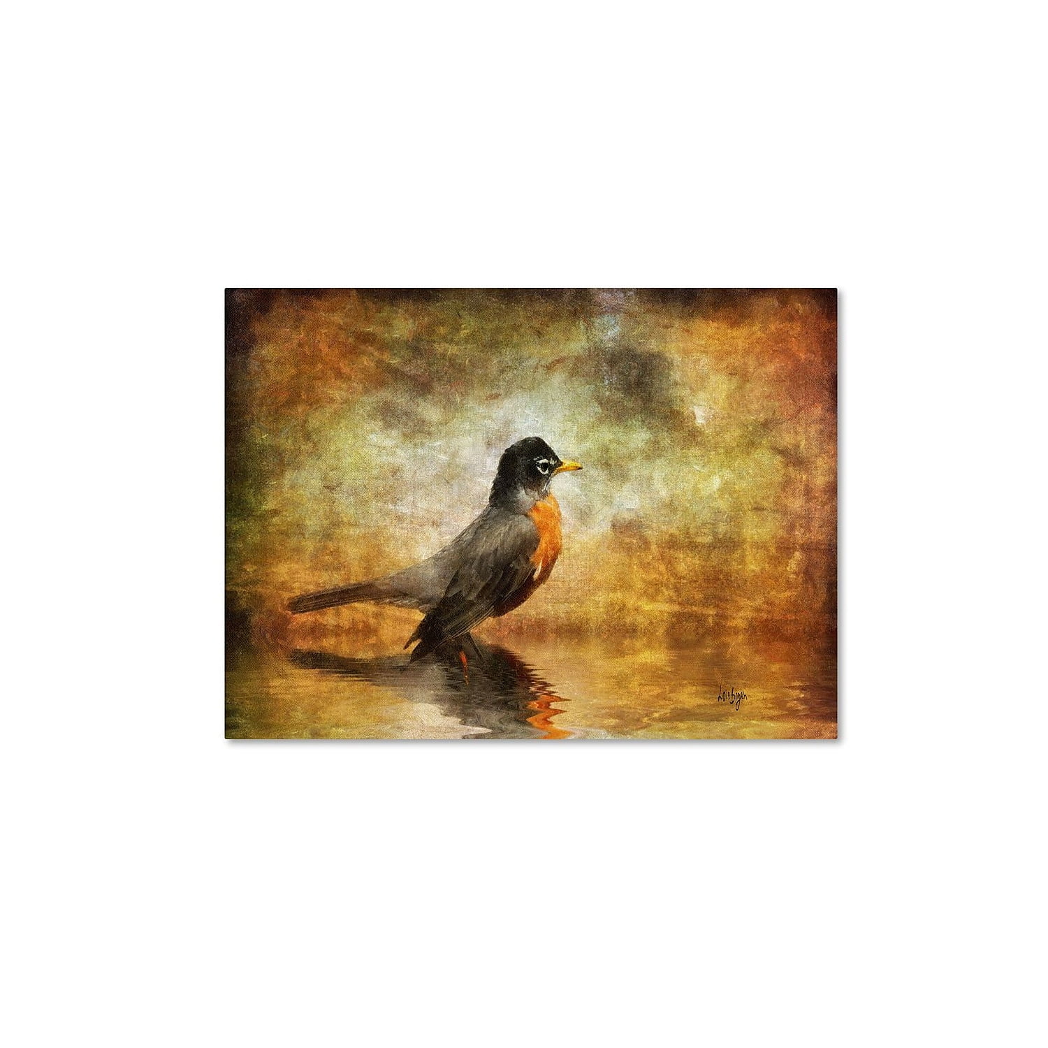 Trademark Fine Art "The Robin" Canvas Art by Lois Bryan