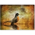 thumbnail image 1 of Trademark Fine Art "The Robin" Canvas Art by Lois Bryan, 1 of 1