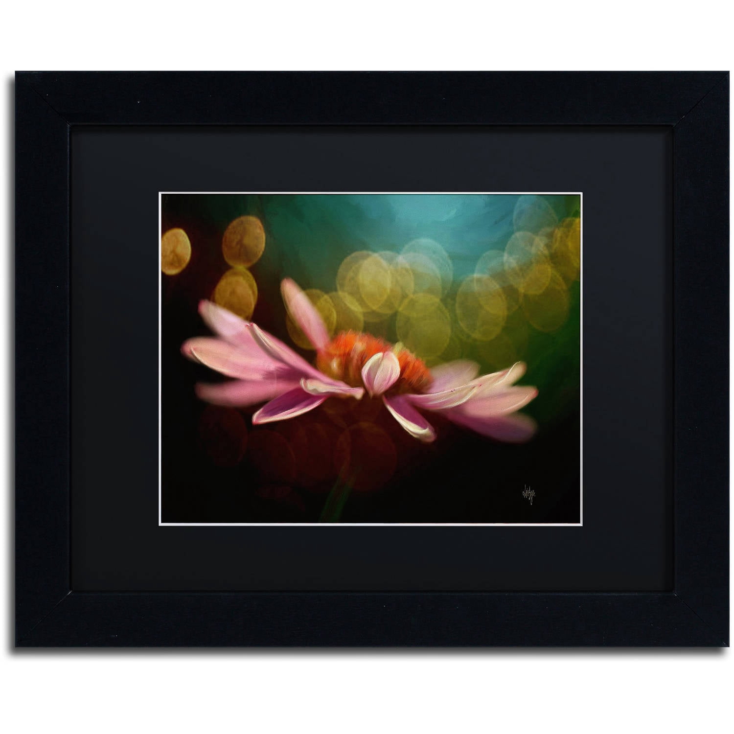Trademark Fine Art "The Secret World of Coneflowers" Canvas Art by Lois Bryan Black Matte, Black Frame
