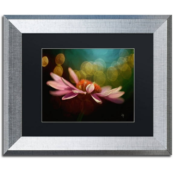 Trademark Fine Art "The Secret World of Coneflowers" Canvas Art by Lois Bryan Black Matte, Silver Frame