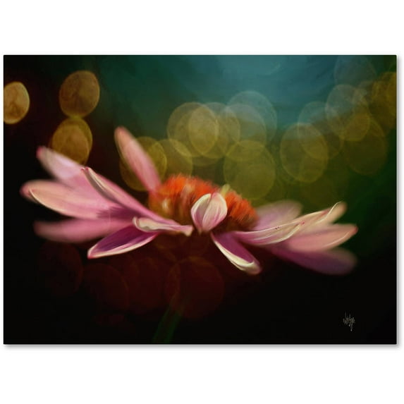 Trademark Fine Art "The Secret World of Coneflowers" Canvas Art by Lois Bryan