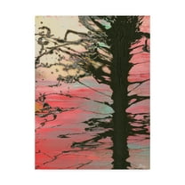 Trademark Fine Art 'The Senator II' Canvas Art by Dlynn Roll