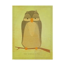 Trademark Fine Art 'The Sensible Owl' Canvas Art by John W. Golden