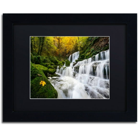 Trademark Fine Art "The Song of the Autumn" Canvas Art by Mathieu Rivrin, Black Matte, Black Frame