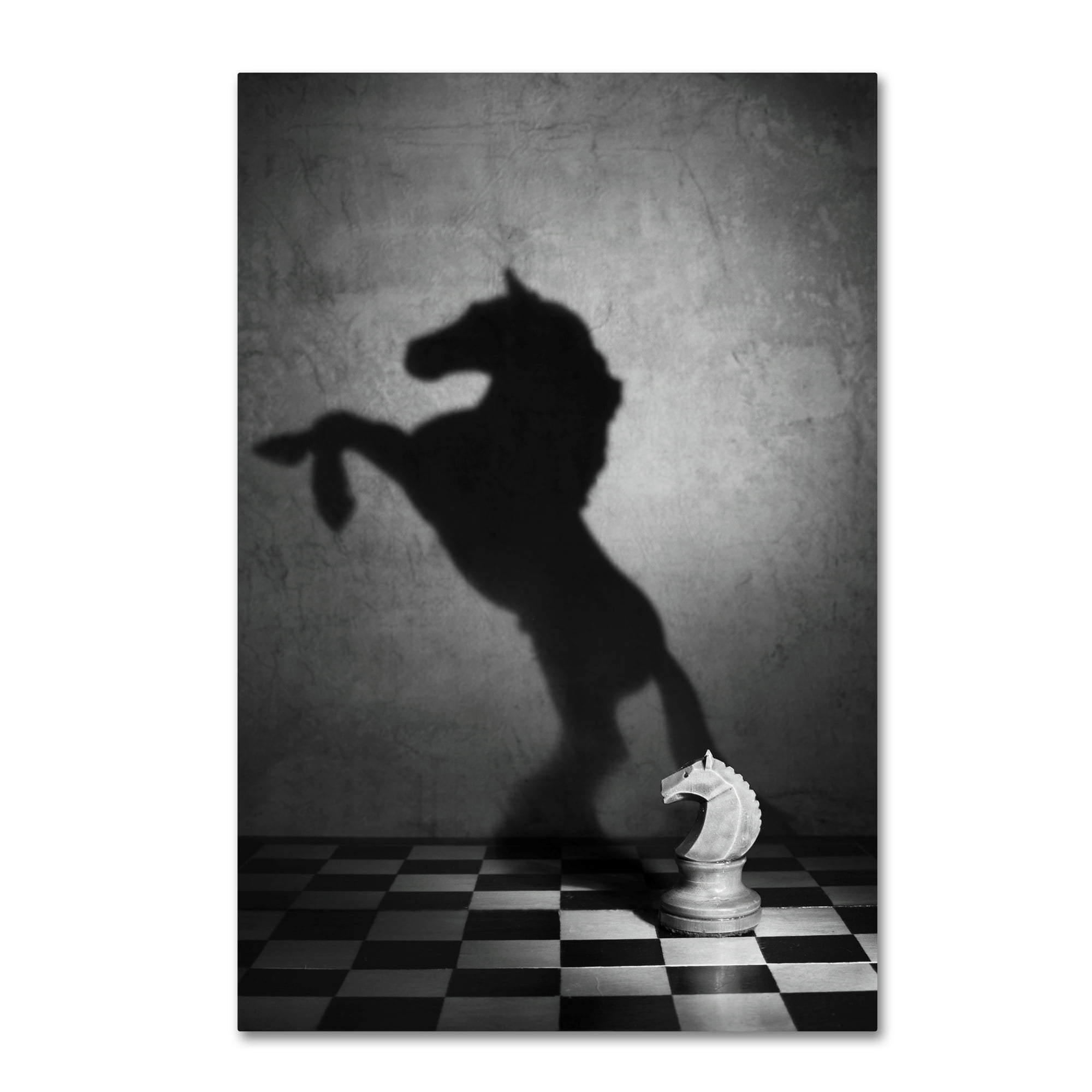 Trademark Fine Art 'The Soul Of A Mustang' Canvas Art by Victoria Ivanova