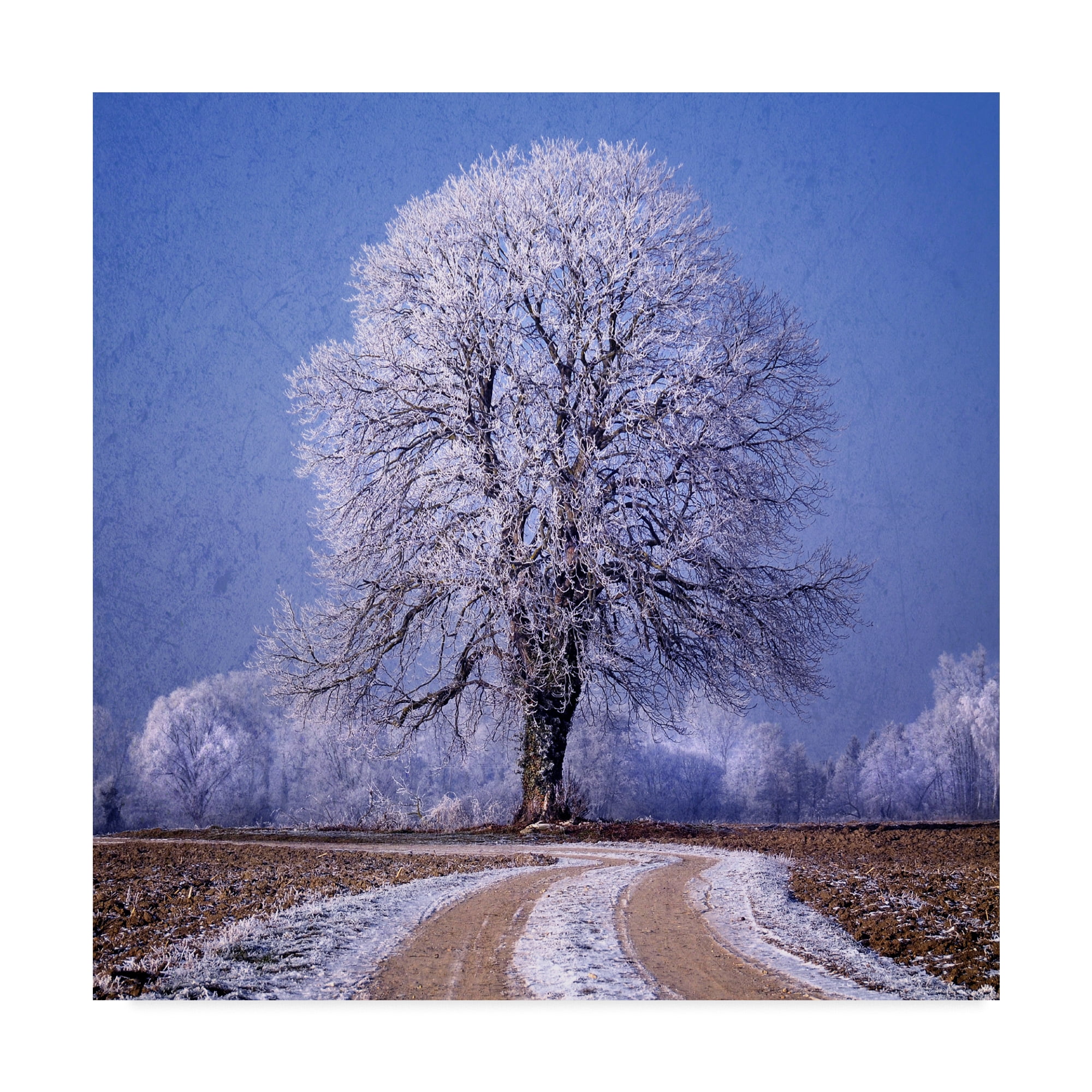 Trademark Fine Art 'The Sounds Of Silence' Canvas Art by Philippe Sainte-Laudy