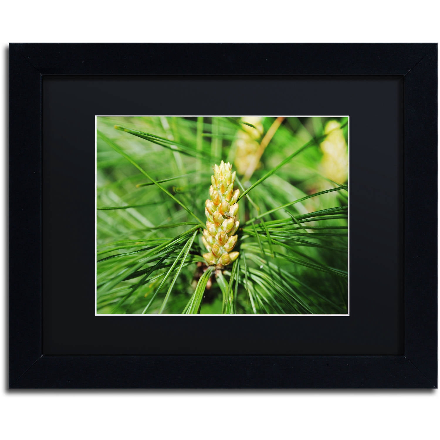 Trademark Fine Art "The Start" Canvas Art by Monica Mize, Black Matte, Black Frame