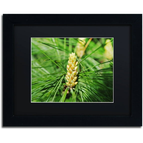 Trademark Fine Art "The Start" Canvas Art by Monica Mize, Black Matte, Black Frame
