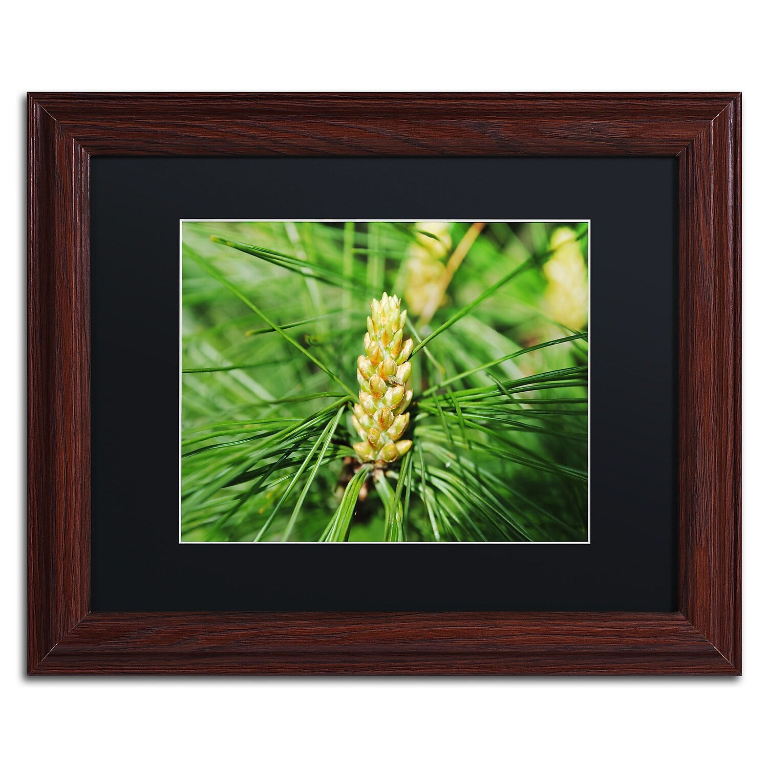 Trademark Fine Art "The Start" Canvas Art by Monica Mize, Black Matte, Wood Frame