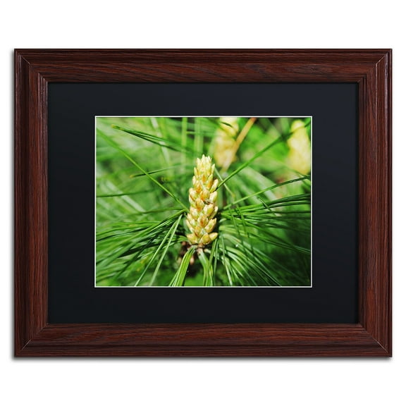 Trademark Fine Art "The Start" Canvas Art by Monica Mize, Black Matte, Wood Frame