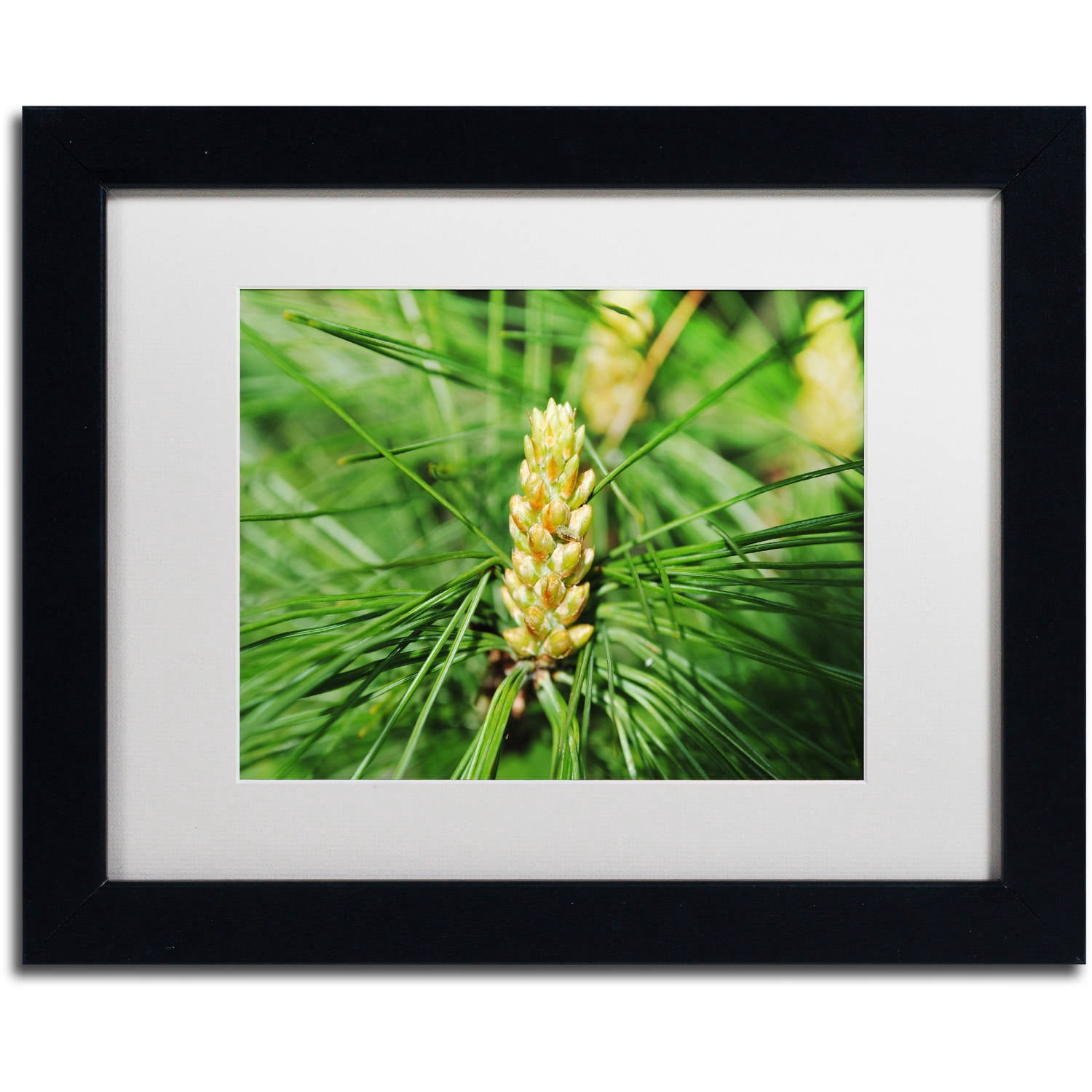 Trademark Fine Art "The Start" Canvas Art by Monica Mize, White Matte, Black Frame