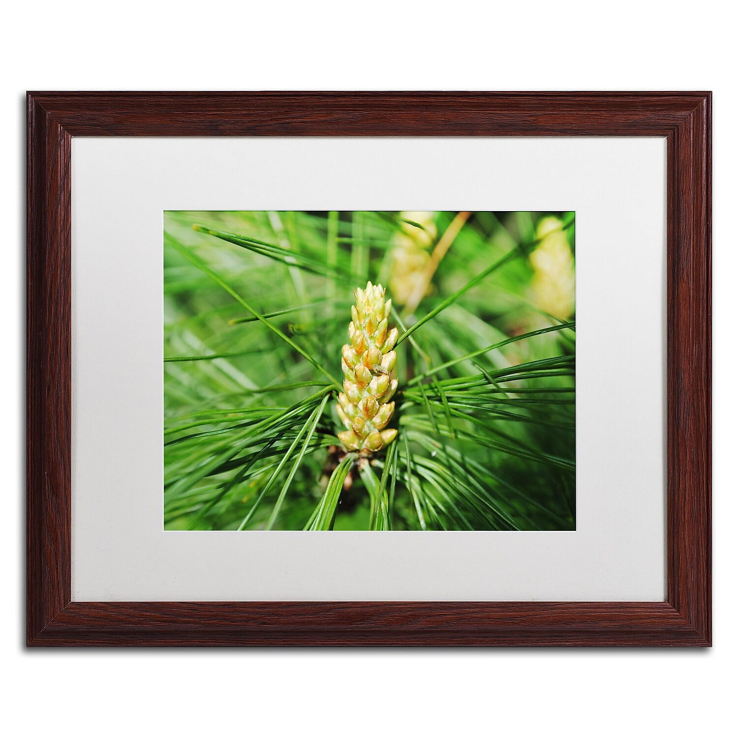Trademark Fine Art "The Start" Canvas Art by Monica Mize, White Matte, Wood Frame