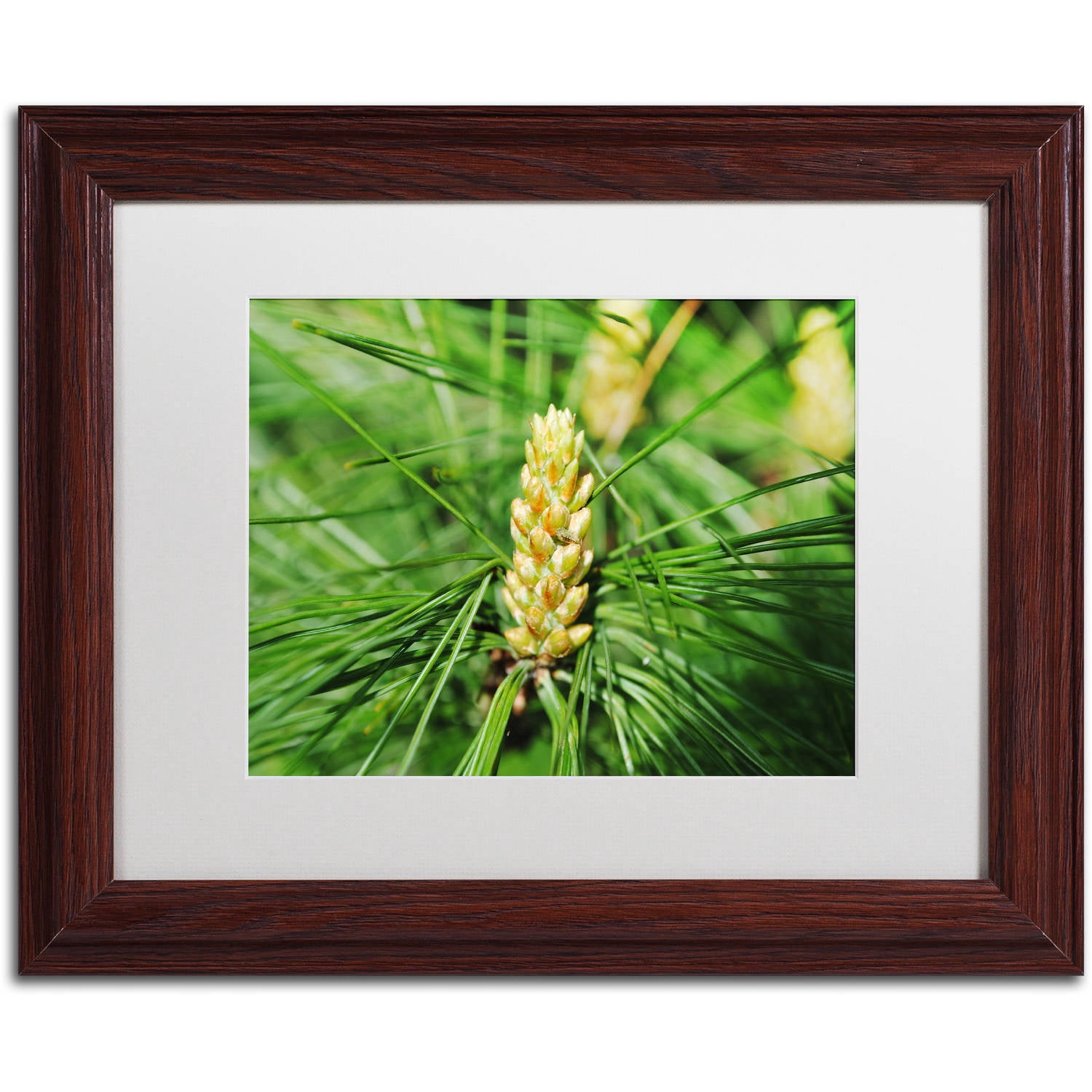 Trademark Fine Art "The Start" Canvas Art by Monica Mize, White Matte, Wood Frame