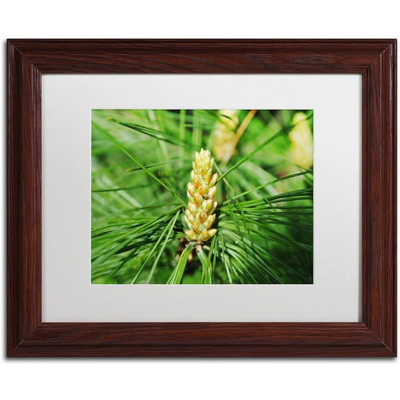 Trademark Fine Art "The Start" Canvas Art by Monica Mize, White Matte, Wood Frame