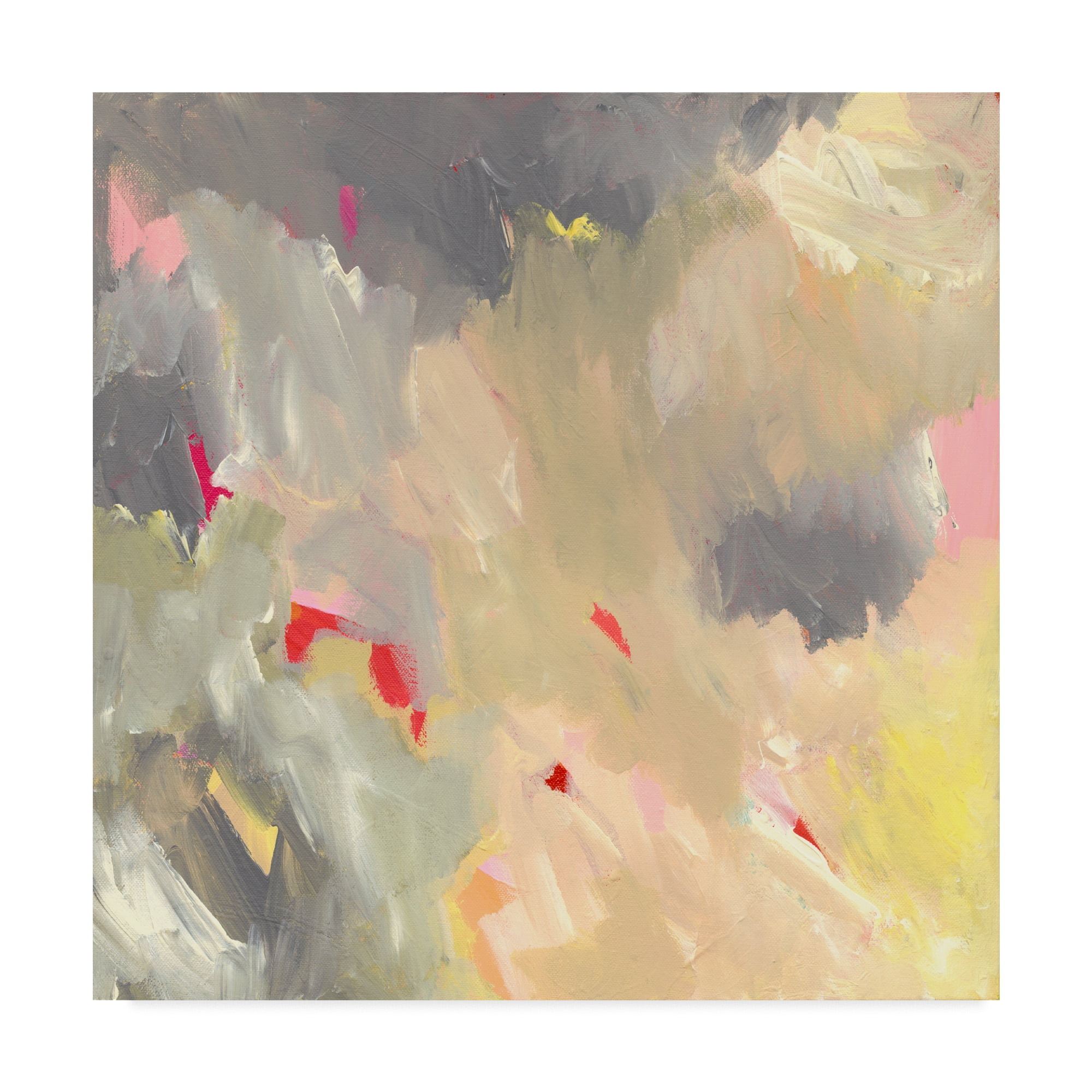 Trademark Fine Art 'The Storm - Abstract' Canvas Art by Jennifer McCully