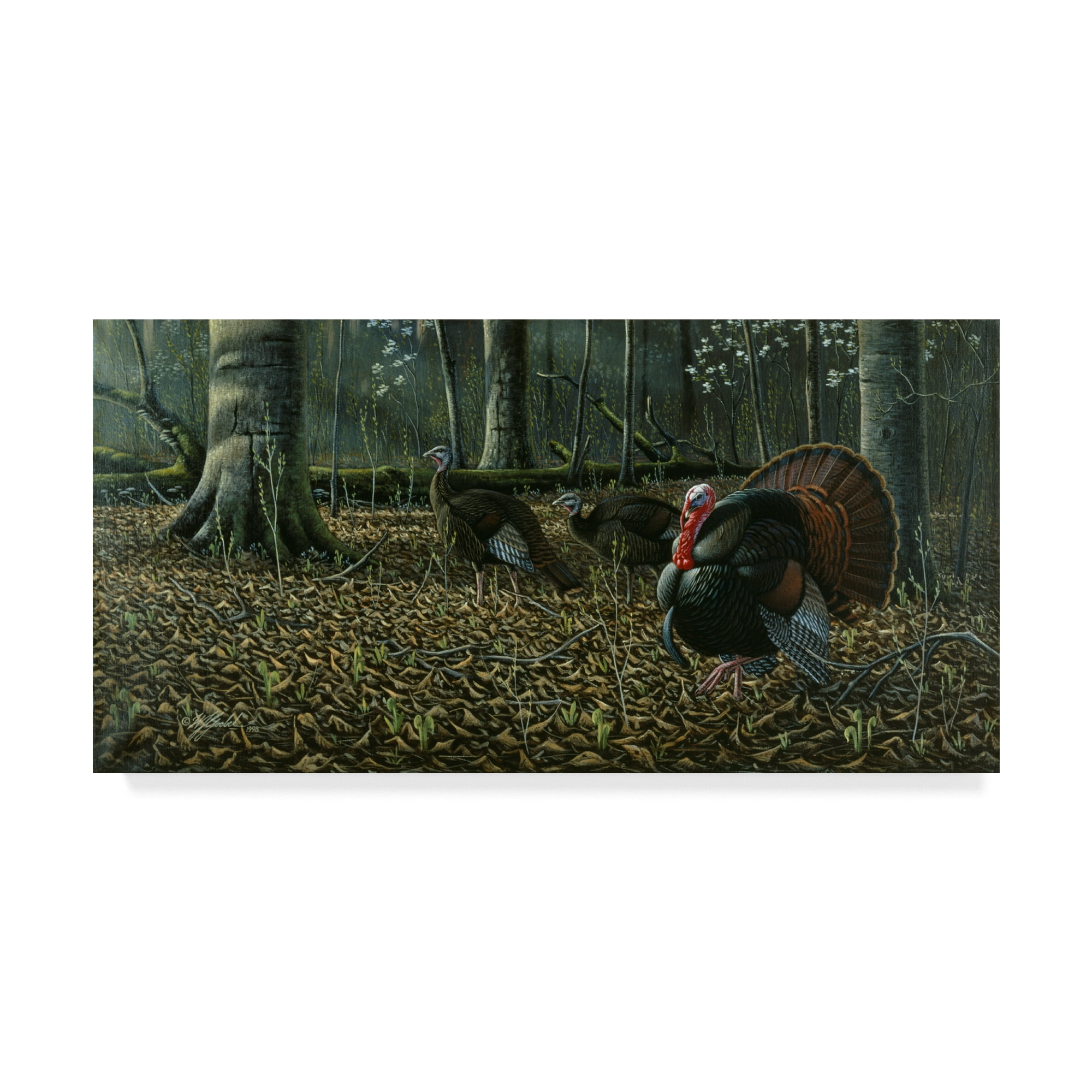 Trademark Fine Art 'The Suitor Wild Turkeys' Canvas Art by Wilhelm Goebel