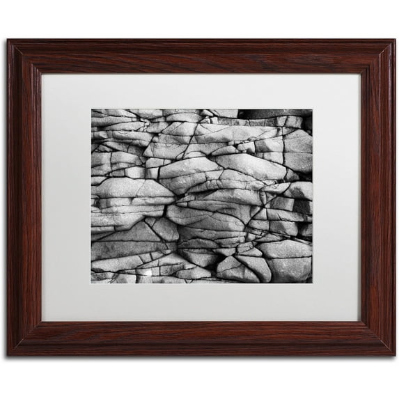 Trademark Fine Art "The Thing" Canvas Art by Philippe Sainte-Laudy White Matte, Wood Frame