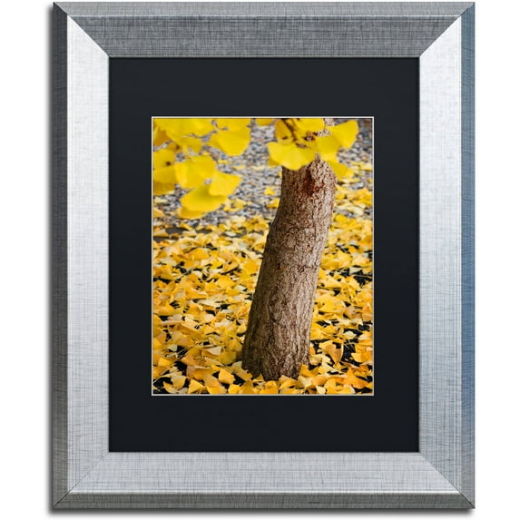 Trademark Fine Art "The Time Machine" Canvas Art by Philippe Sainte-Laudy Black Matte, Silver Frame