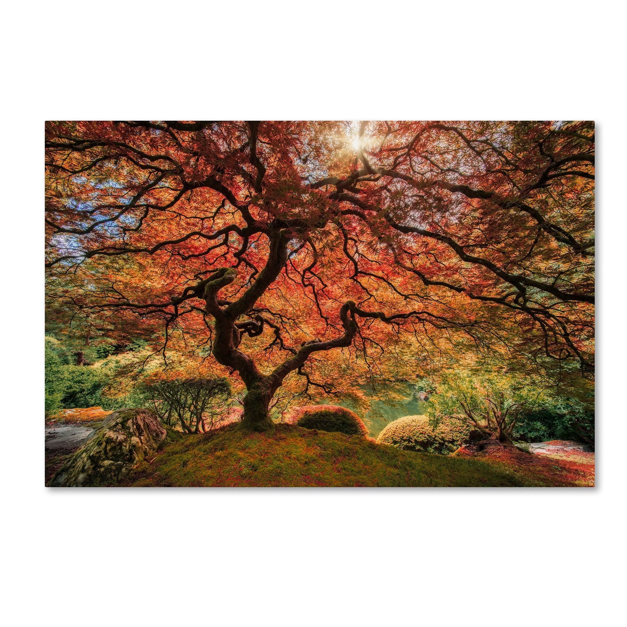 Autumn Tree Landscape Gallery-Wrapped Canvas Art, 22" x 32"