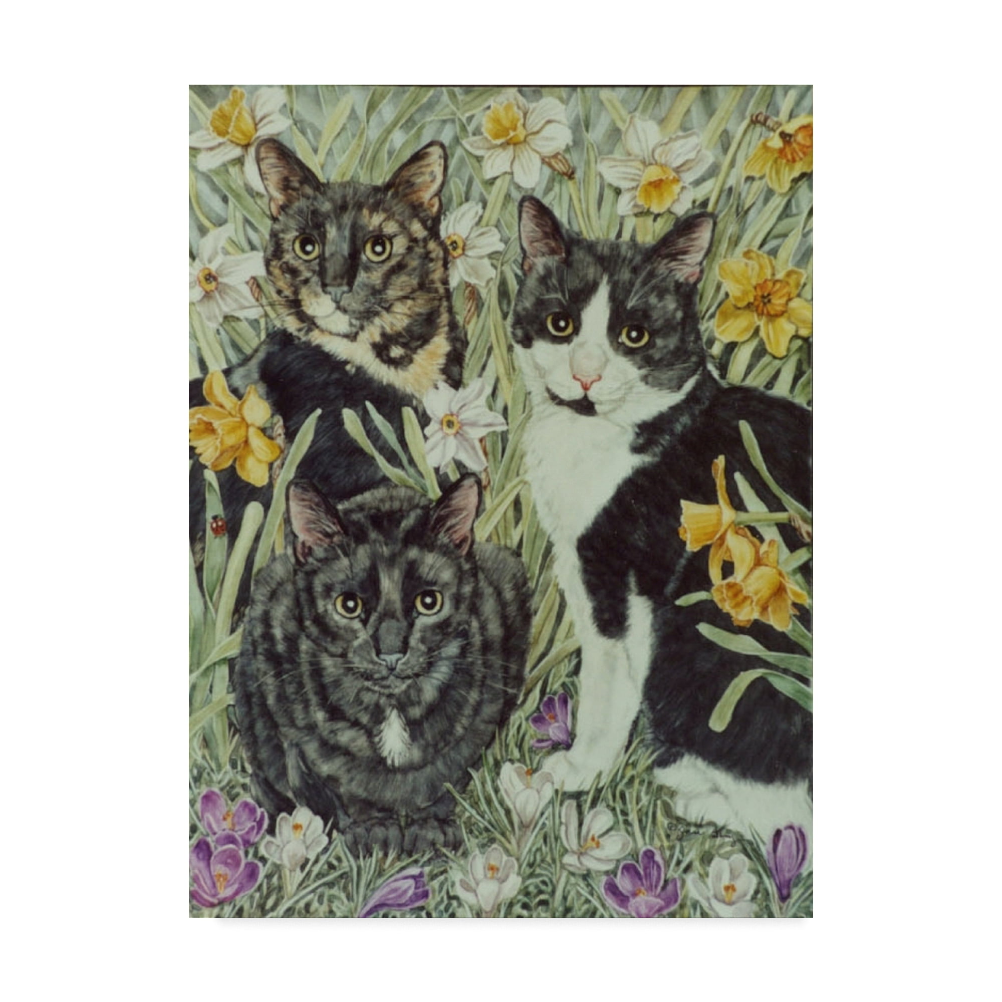 Trademark Fine Art 'The Trio' Canvas Art by Jan Benz