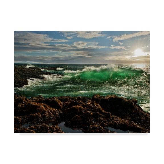 Trademark Fine Art 'The Wave Rocky' Canvas Art by Natalie Mikaels