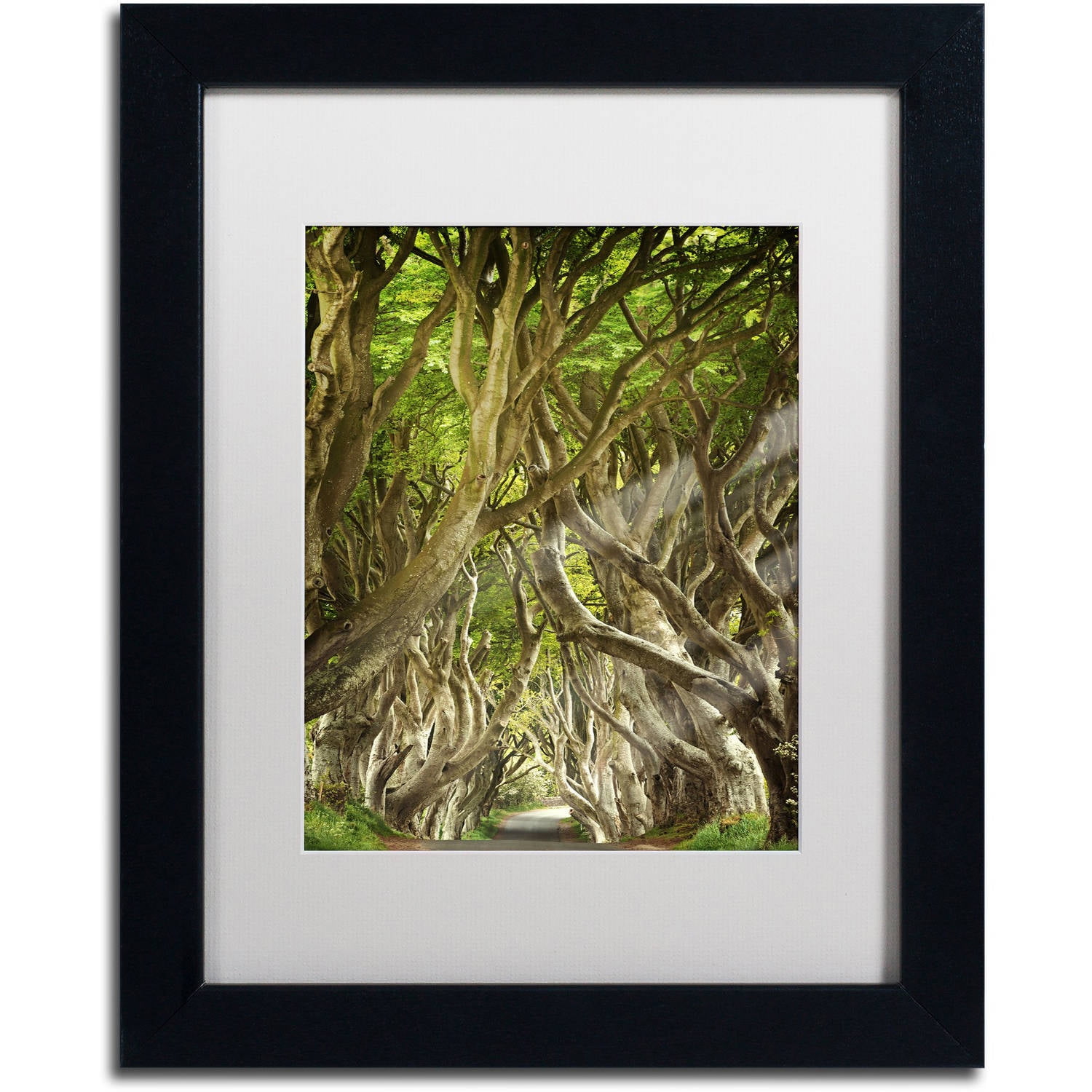 Trademark Fine Art "The Way It Is" Canvas Art by Philippe Sainte-Laudy, White Matte, Black Frame