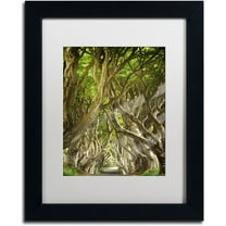 Trademark Fine Art "The Way It Is" Canvas Art by Philippe Sainte-Laudy, White Matte, Black Frame