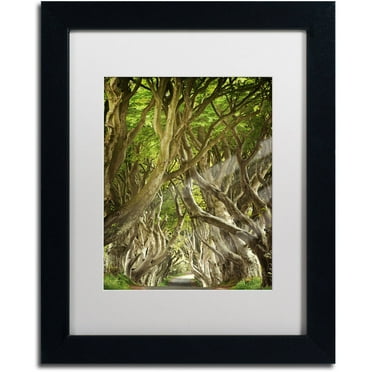 Trademark Fine Art "The Way It Is" Canvas Art by Philippe Sainte-Laudy, White Matte, Black Frame