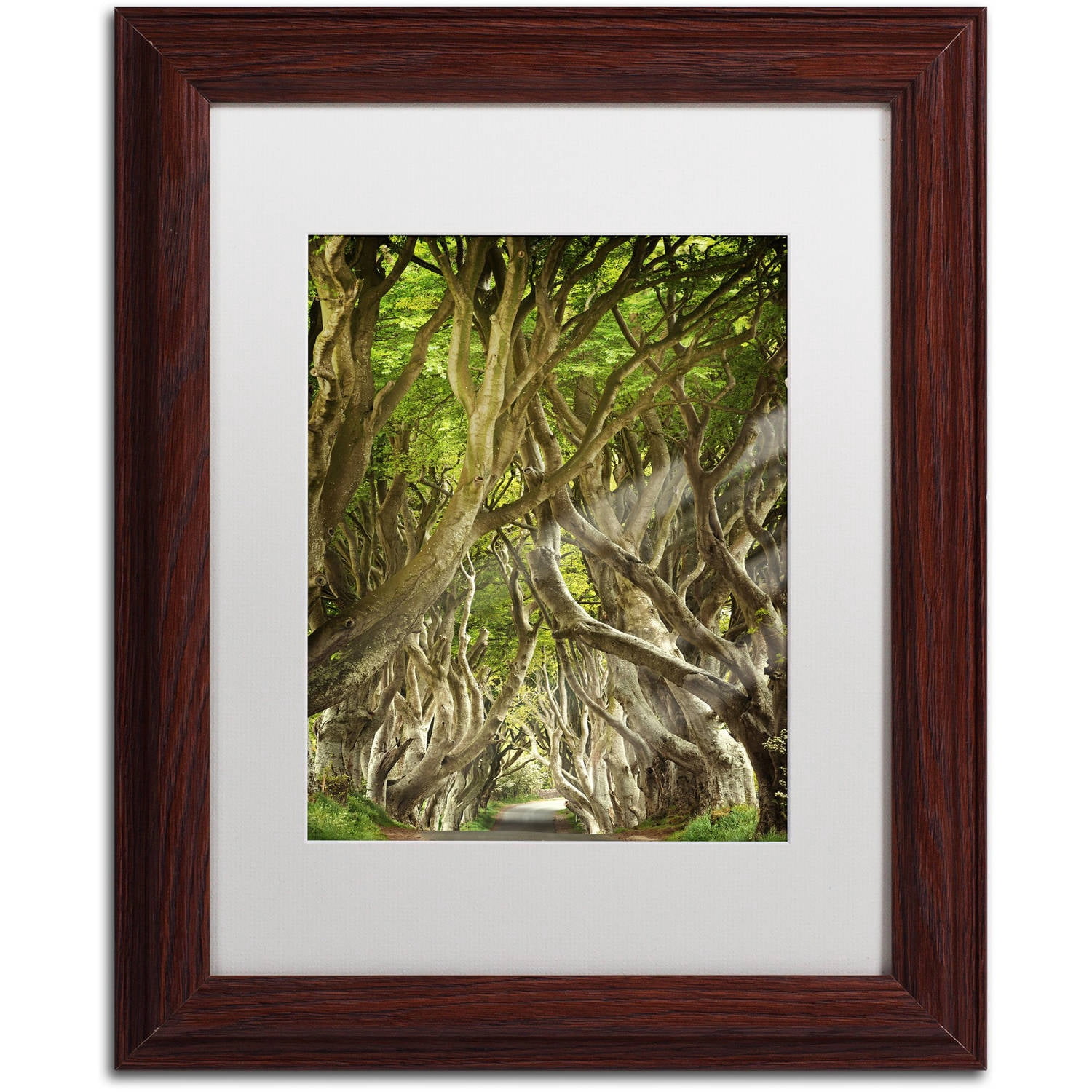 Trademark Fine Art "The Way It Is" Canvas Art by Philippe Sainte-Laudy, White Matte, Wood Frame