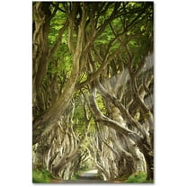 Trademark Fine Art "The Way It Is" Canvas Art by Philippe Sainte-Laudy