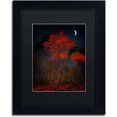 thumbnail image 1 of Trademark Fine Art "The Why" Canvas Art by Philippe Sainte-Laudy Black Matte, Black Frame, 1 of 1