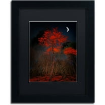 Trademark Fine Art "The Why" Canvas Art by Philippe Sainte-Laudy Black Matte, Black Frame