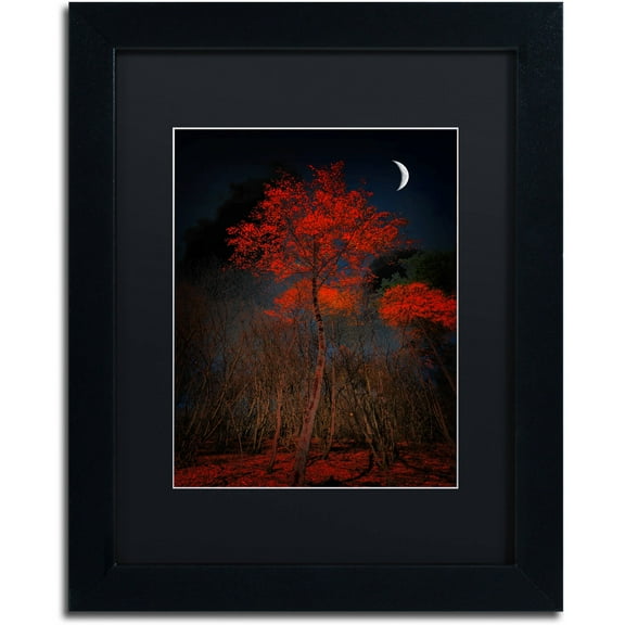 Trademark Fine Art "The Why" Canvas Art by Philippe Sainte-Laudy Black Matte, Black Frame