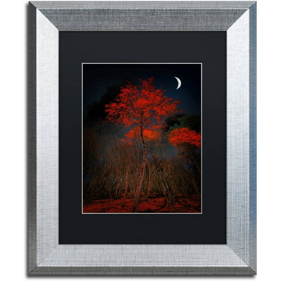 Trademark Fine Art "The Why" Canvas Art by Philippe Sainte-Laudy Black Matte, Silver Frame