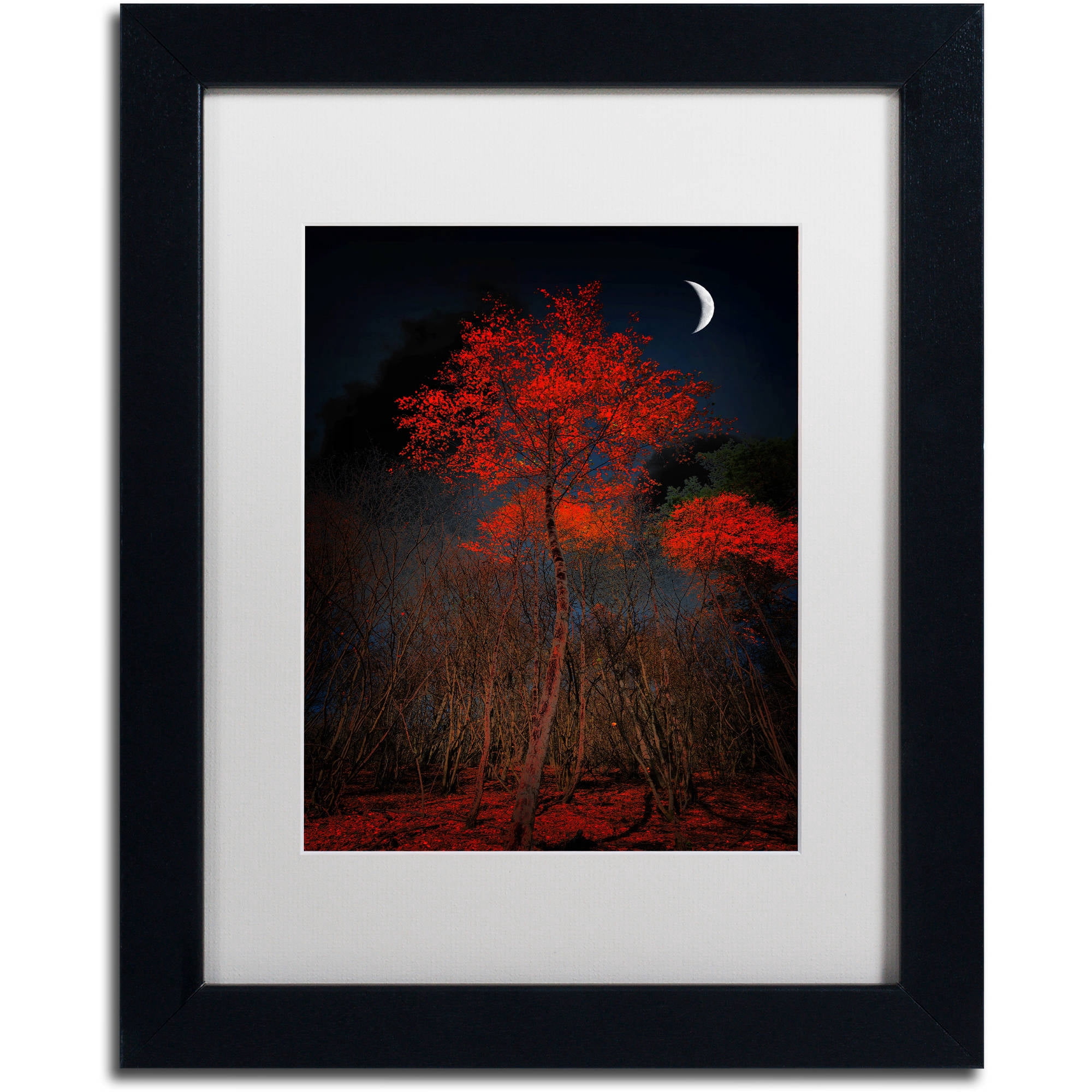 Trademark Fine Art "The Why" Canvas Art by Philippe Sainte-Laudy White Matte, Black Frame