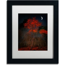 Trademark Fine Art "The Why" Canvas Art by Philippe Sainte-Laudy White Matte, Black Frame