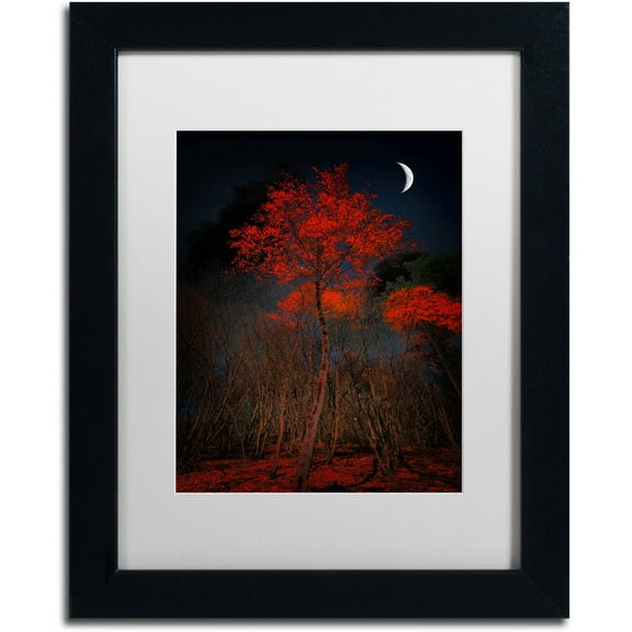 Trademark Fine Art "The Why" Canvas Art by Philippe Sainte-Laudy White Matte, Black Frame