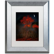 Trademark Fine Art "The Why" Canvas Art by Philippe Sainte-Laudy White Matte, Silver Frame