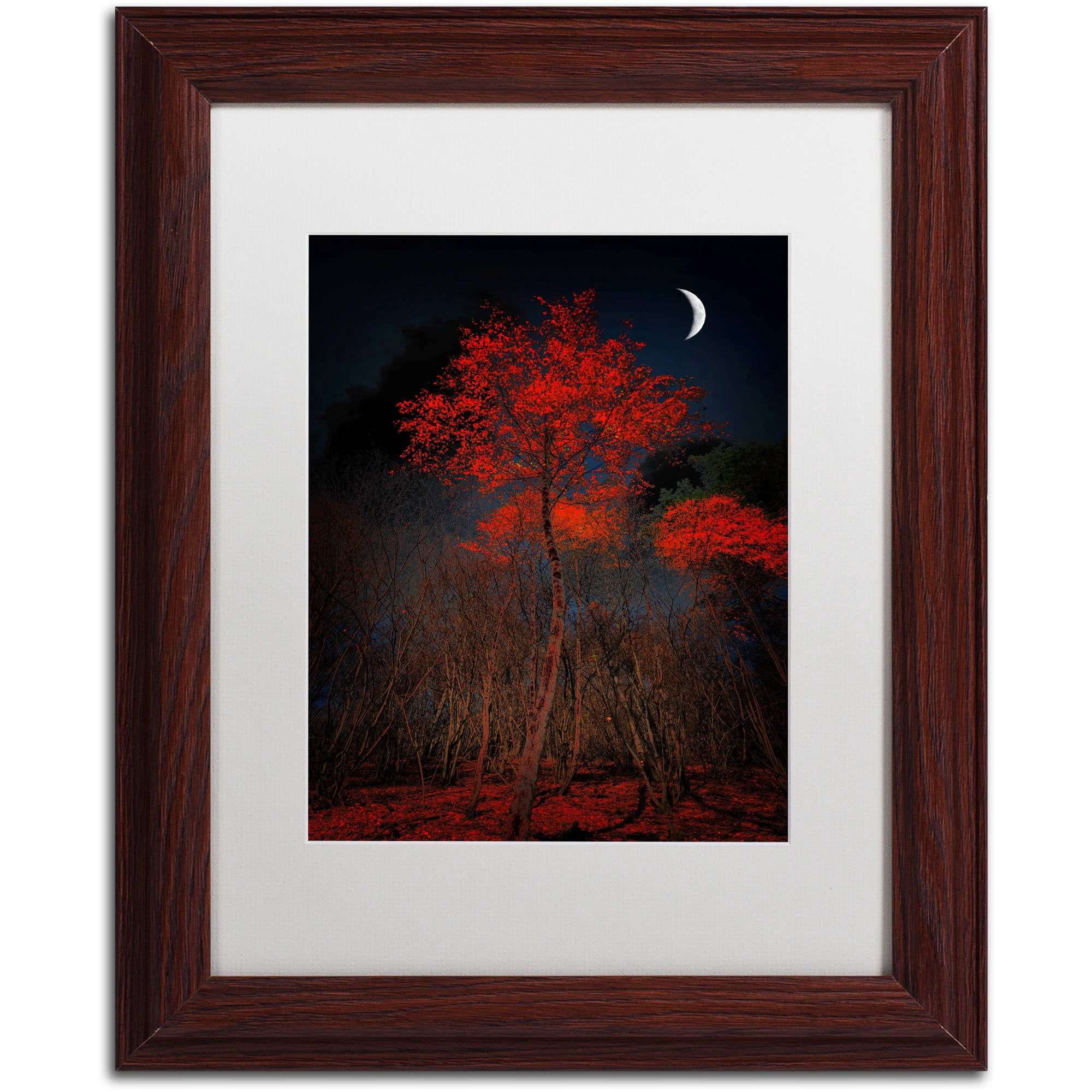 Trademark Fine Art "The Why" Canvas Art by Philippe Sainte-Laudy White Matte, Wood Frame