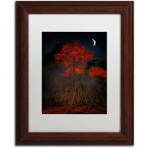 Trademark Fine Art "The Why" Canvas Art by Philippe Sainte-Laudy White Matte, Wood Frame