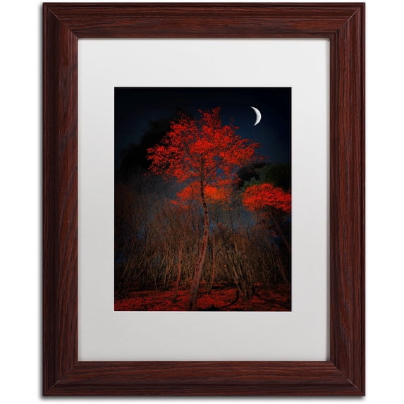 Trademark Fine Art "The Why" Canvas Art by Philippe Sainte-Laudy White Matte, Wood Frame